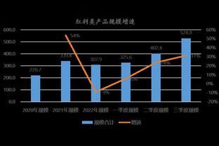 bd体育足球